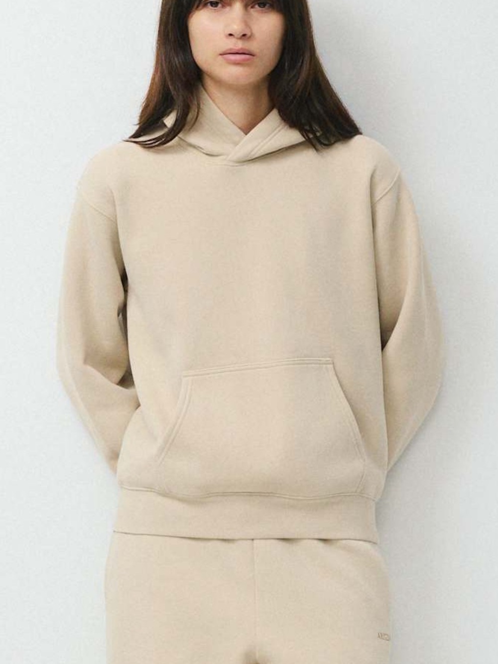 TNA Aritzia Sweatfleece Hoodie - Cozy Fleece - Perfect Fit Hoodie